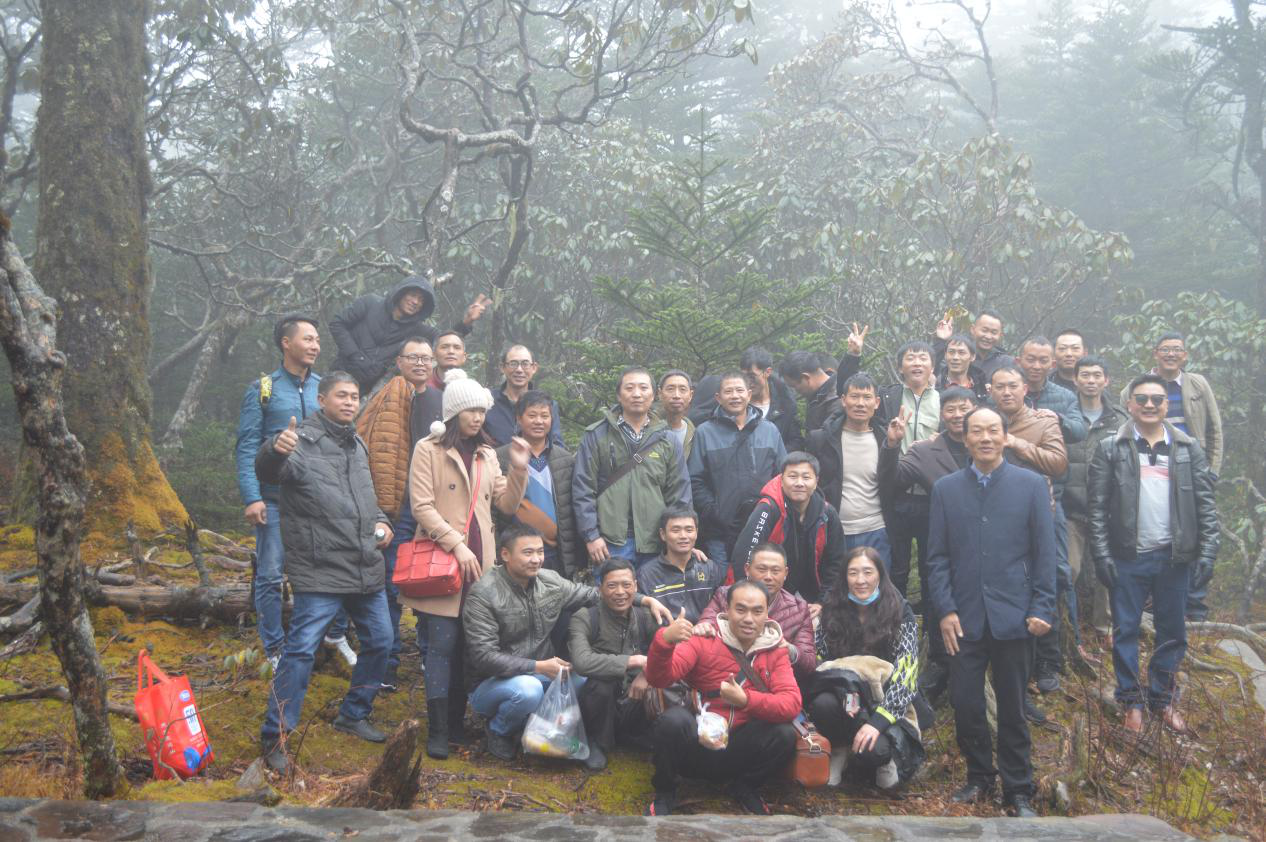 正版香港全年资料网站