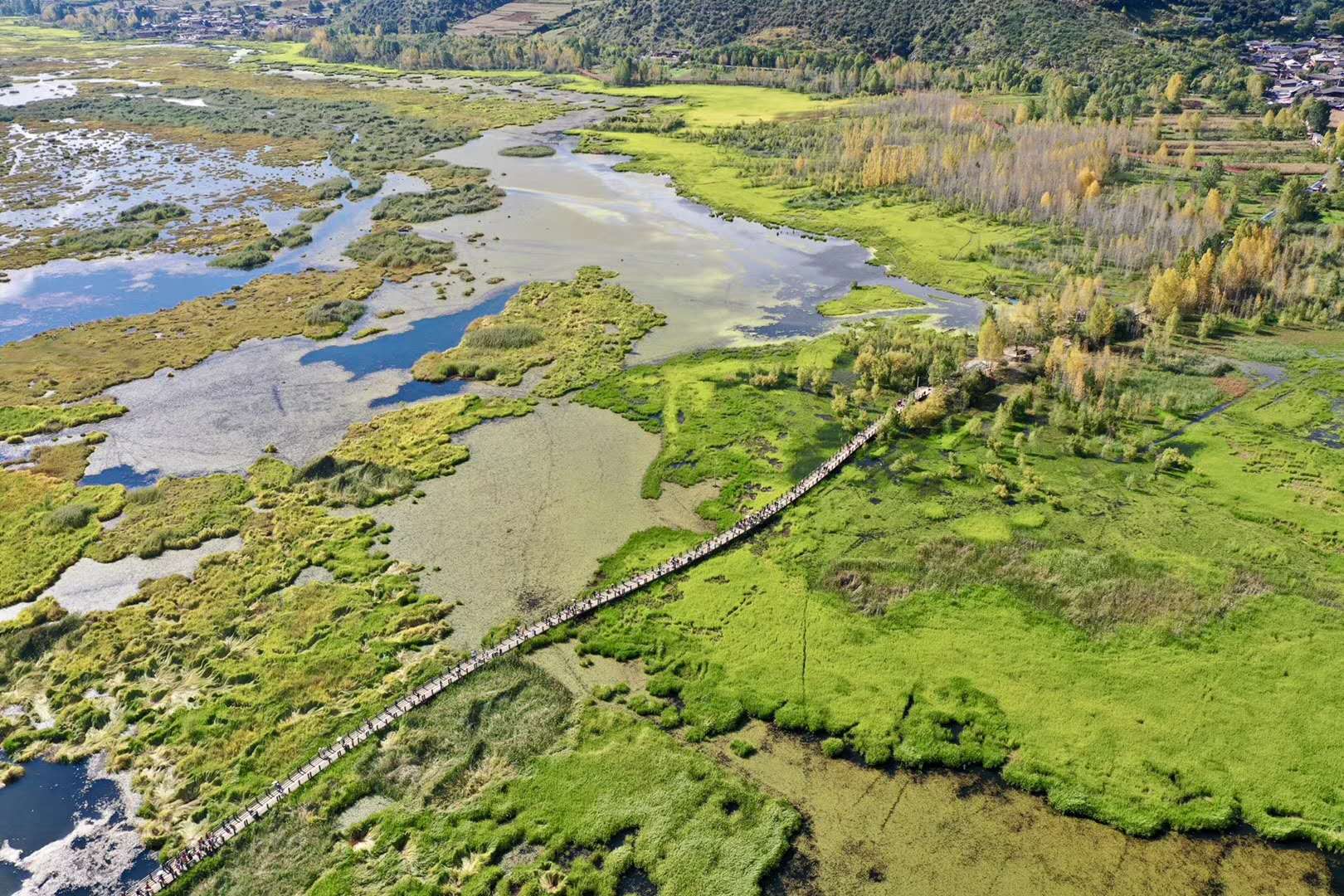 正版香港全年资料网站