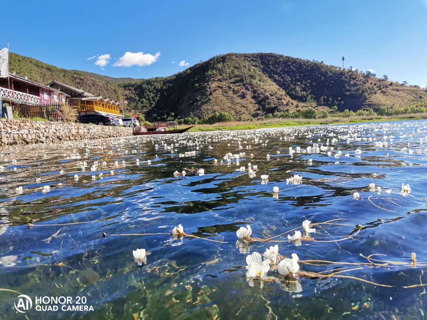 正版香港全年资料网站