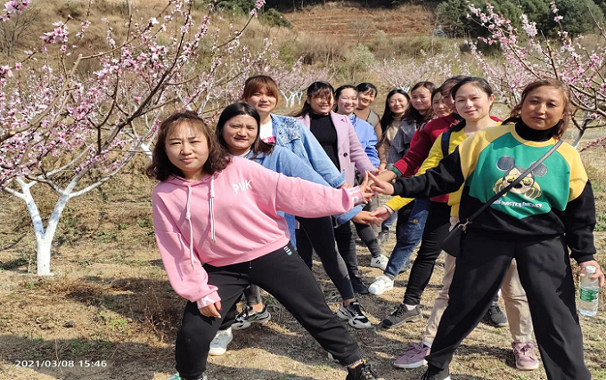 正版香港全年资料网站