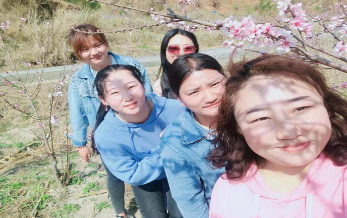 正版香港全年资料网站