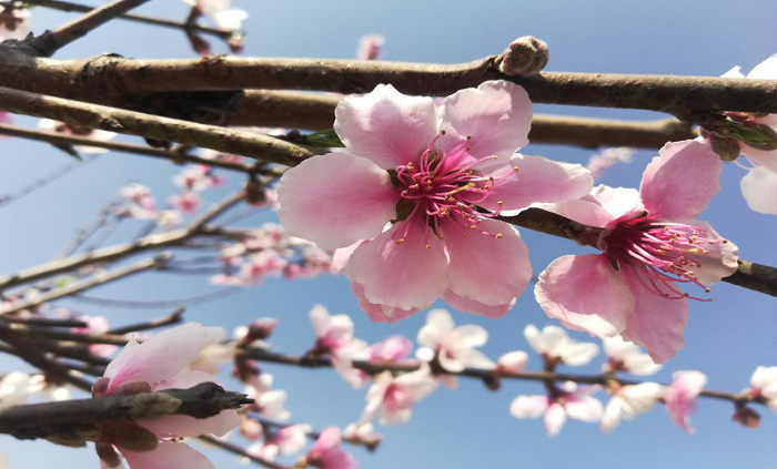 正版香港全年资料网站