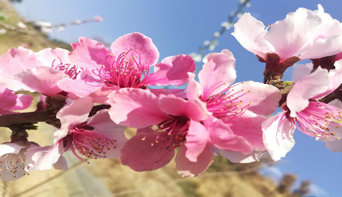 正版香港全年资料网站