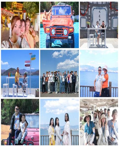 正版香港全年资料网站