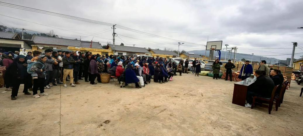 正版香港全年资料网站