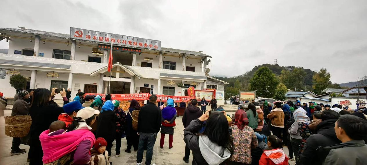 正版香港全年资料网站